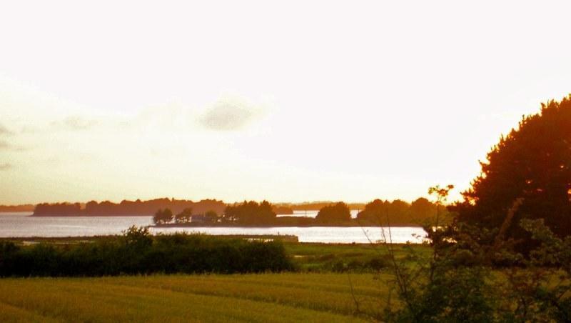 Hotel Le Chevalier Gambette Saint-Armel ภายนอก รูปภาพ
